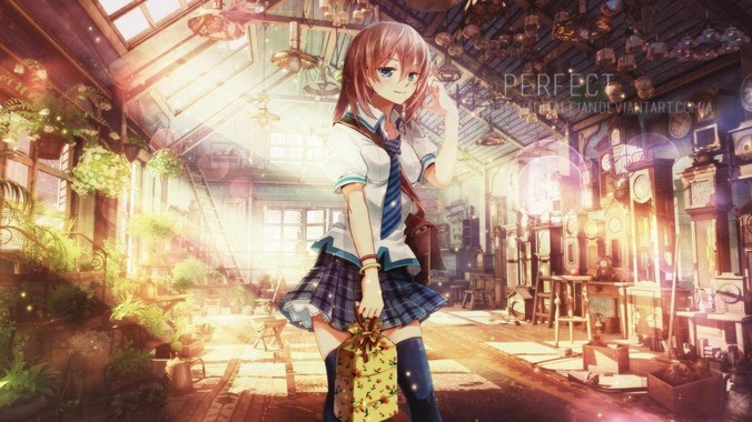 在家里养殖乌龟有什么技巧?