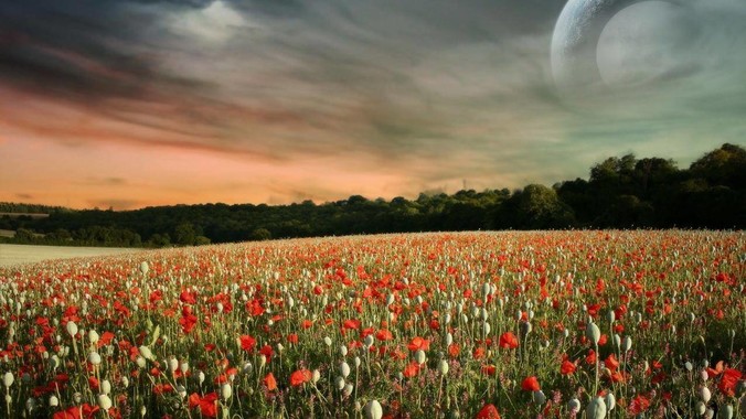 360 集团周鸿袆努力拼了 4  年，最后反而跌了近 4000 亿，其原因是什么？